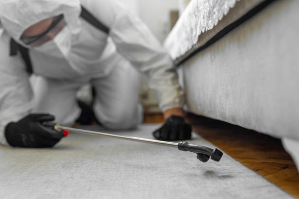 Professional Termite Control technician working in Farwell, TX